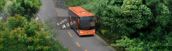 1-22091913295QA.jpg
